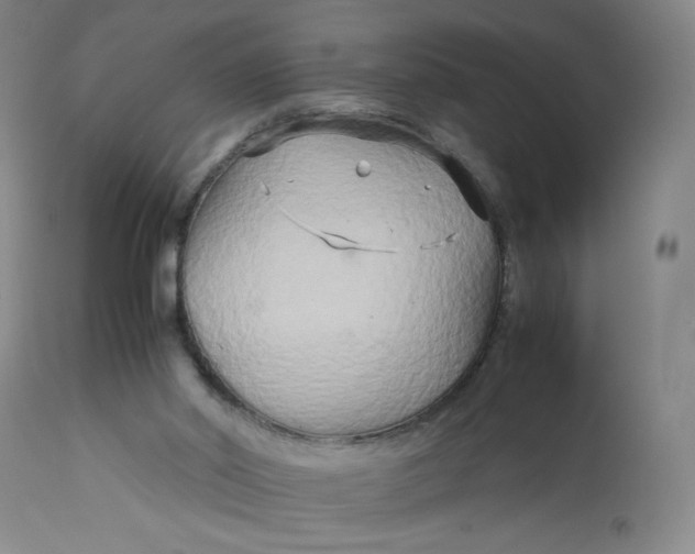 X0000113140014200909251315