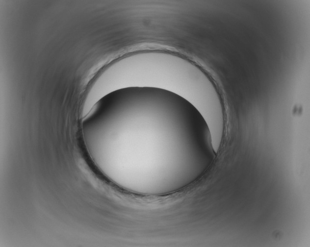 X0000113140015200909251315