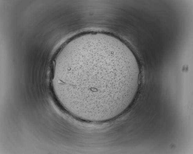 X0000113140016200909251315