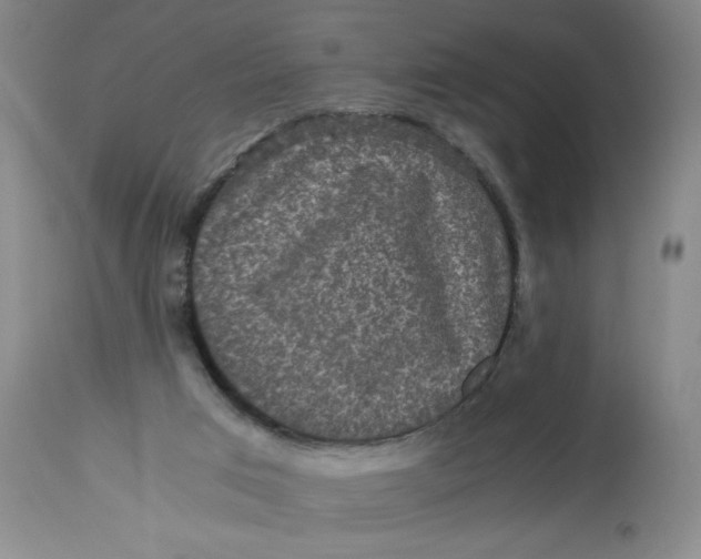 X0000113140017200909251315