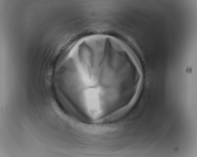 X0000113140018200909251315