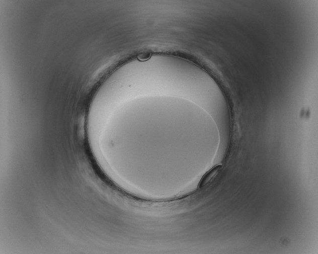 X0000113140019200909251315