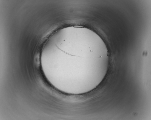 X0000113140020200909251315