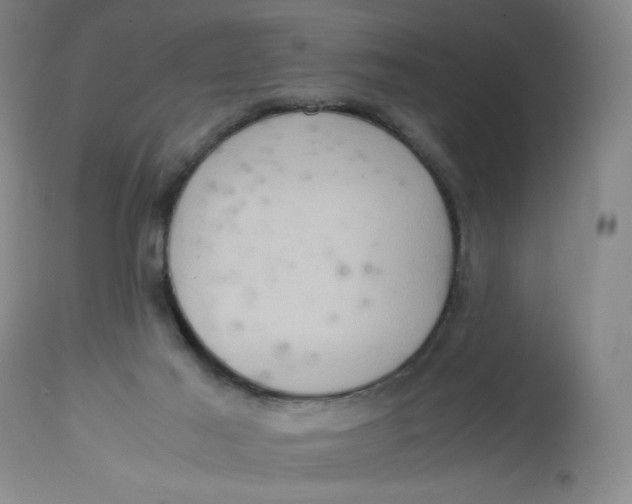 X0000113140021200909251315