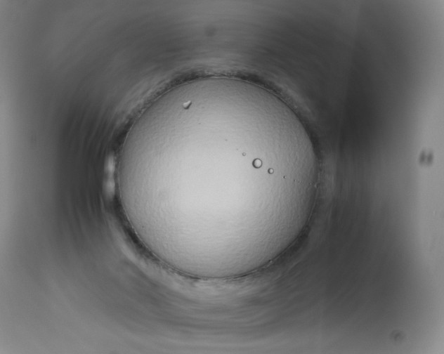 X0000113140022200909251315