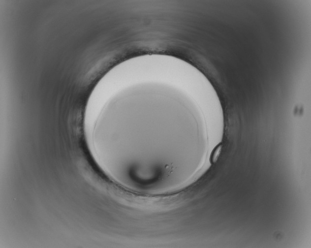 X0000113140023200909251315