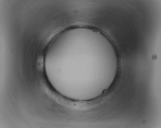 X0000113140024200909251315