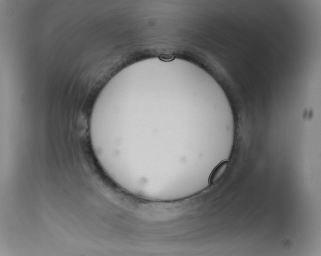 X0000113140025200909251315