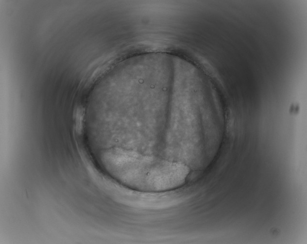 X0000113140026200909251315