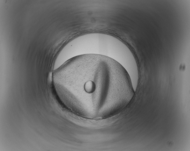 X0000113140027200909251315