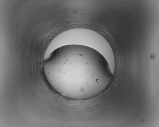 X0000113140029200909251315