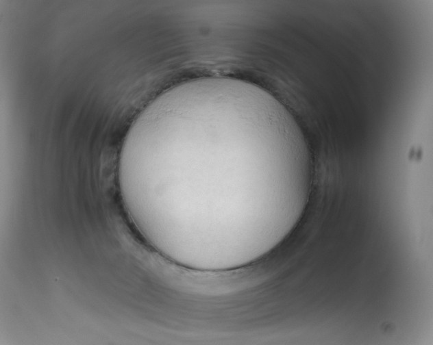 X0000113140030200909251315