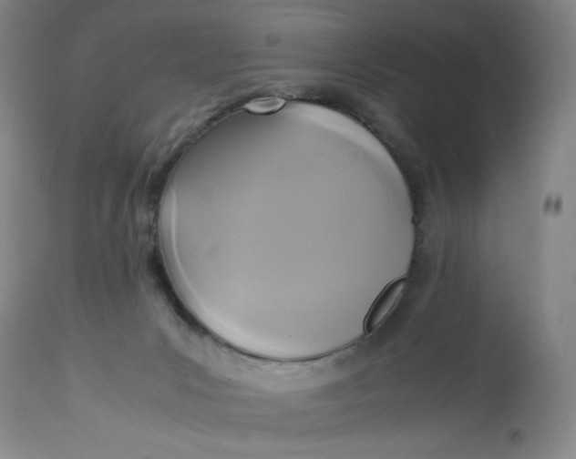 X0000113140031200909251315