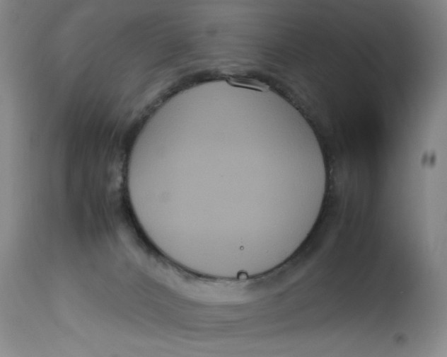 X0000113140032200909251315