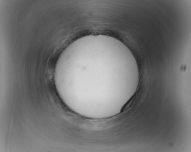 X0000113140033200909251315