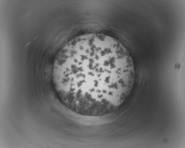 X0000113140034200909251315