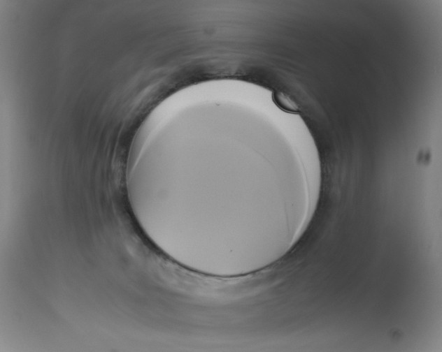 X0000113140035200909251315