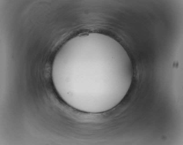 X0000113140036200909251315