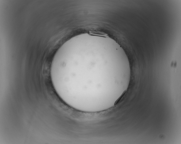 X0000113140037200909251315