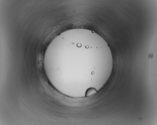 X0000113140038200909251315