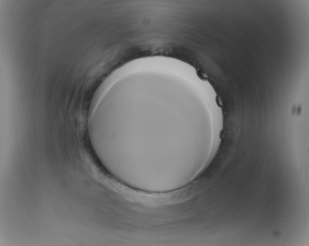 X0000113140039200909251315