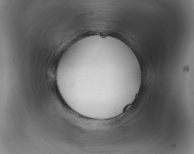 X0000113140040200909251315