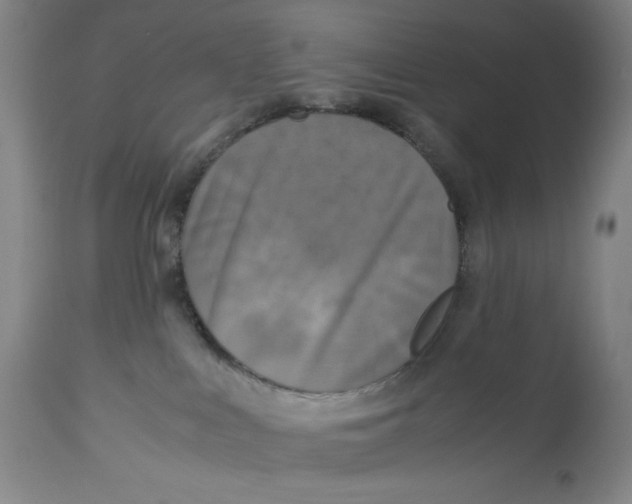 X0000113140043200909251315