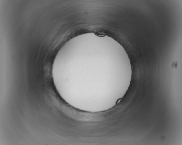 X0000113140044200909251315