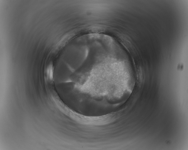 X0000113140046200909251315