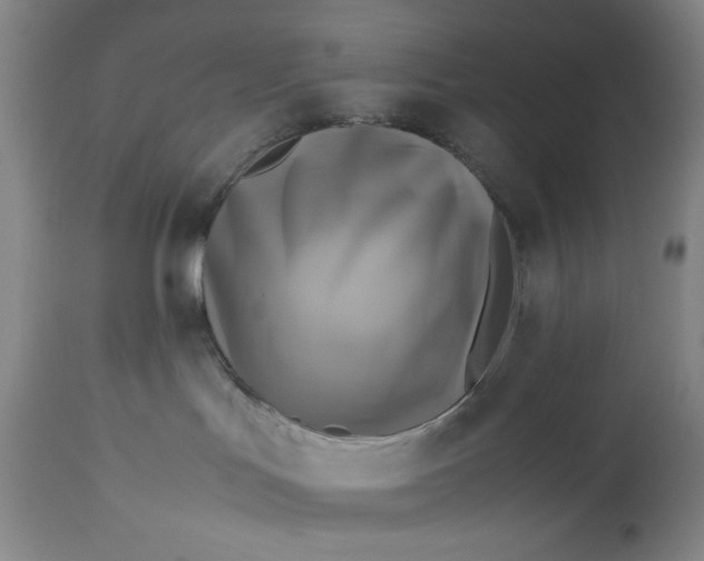 X0000113140047200909251315