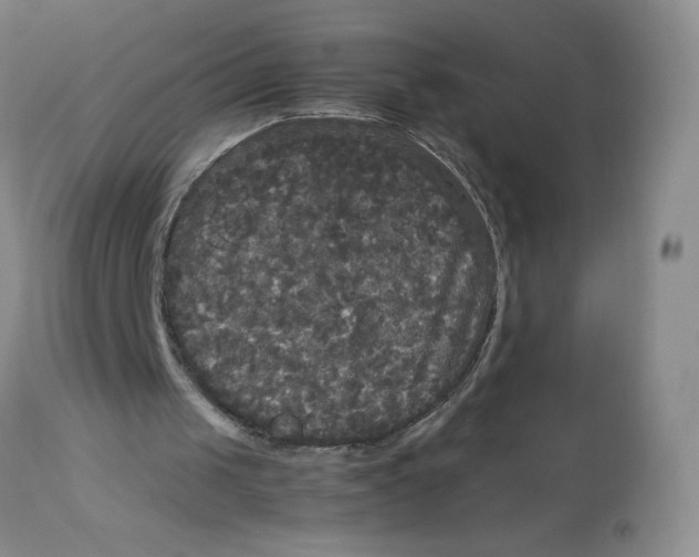 X0000113140049200909251314