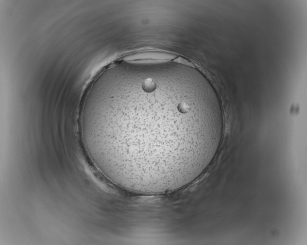 X0000113140050200909251314