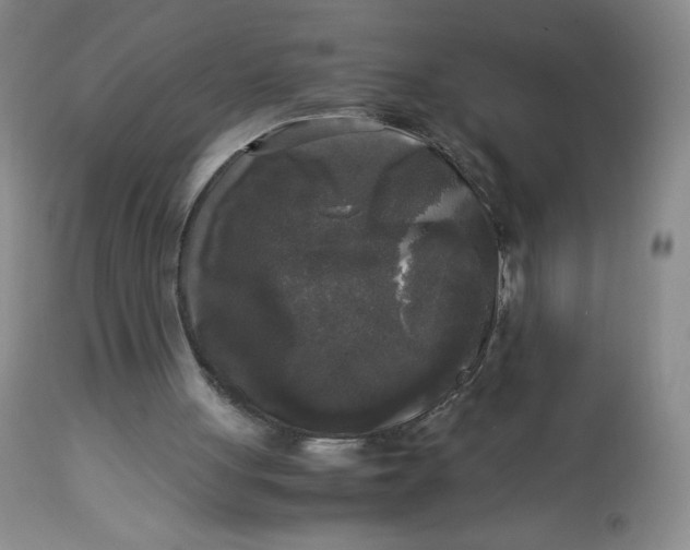 X0000113140051200909251314