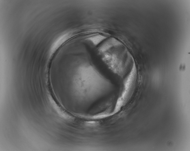 X0000113140053200909251314