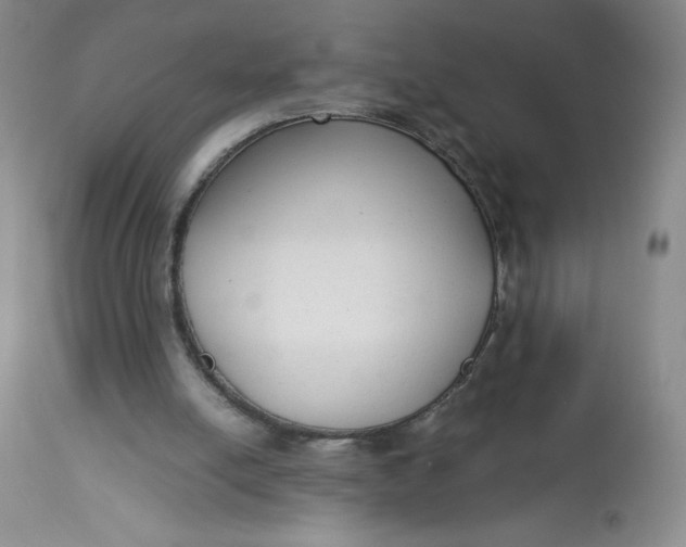 X0000113140054200909251314