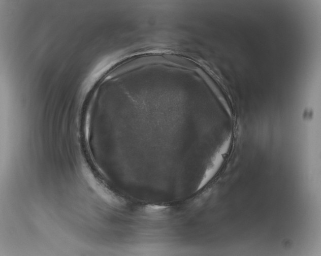 X0000113140055200909251314