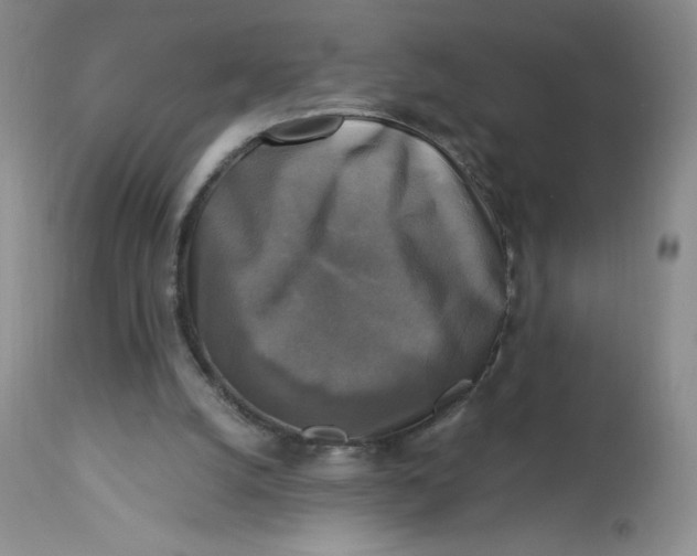 X0000113140056200909251314