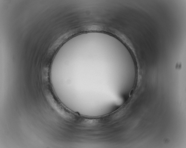 X0000113140057200909251314