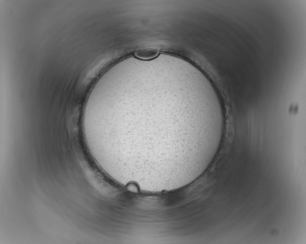 X0000113140058200909251314