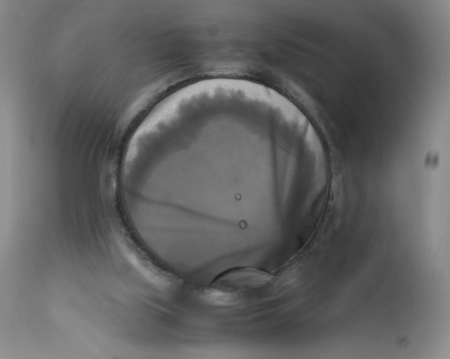 X0000113140059200909251314