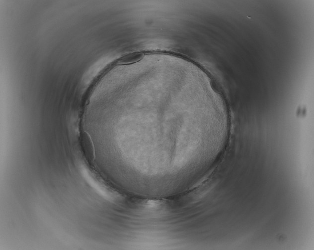 X0000113140060200909251314