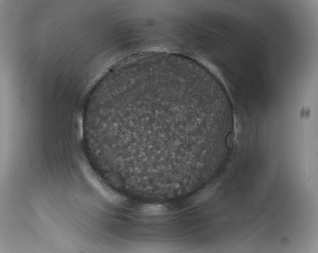 X0000113140061200909251314