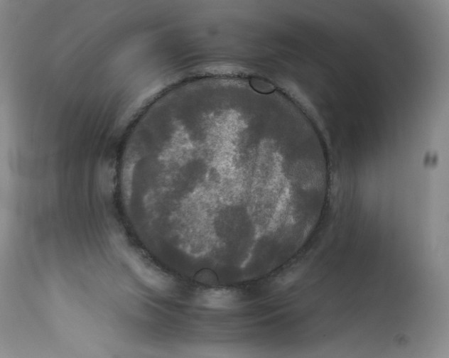 X0000113140063200909251314