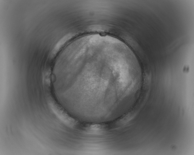 X0000113140064200909251314