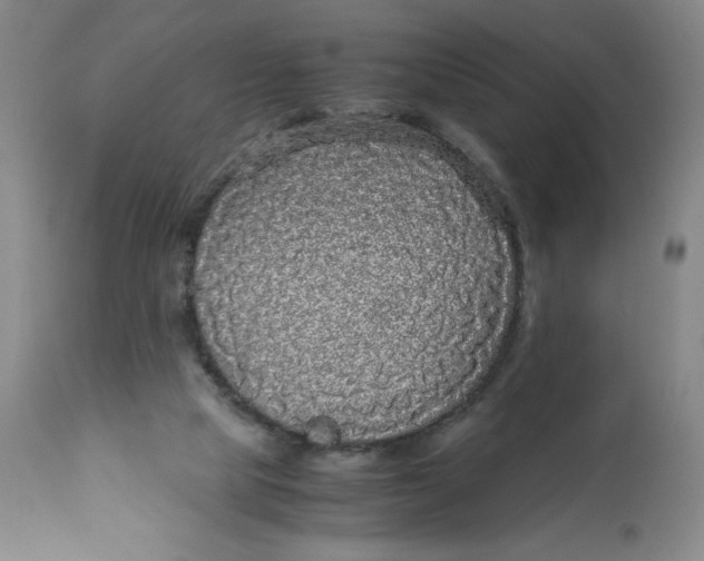 X0000113140065200909251314