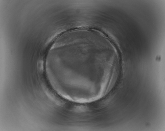 X0000113140067200909251314