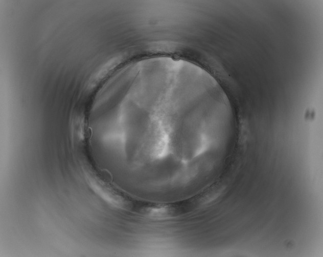 X0000113140068200909251314