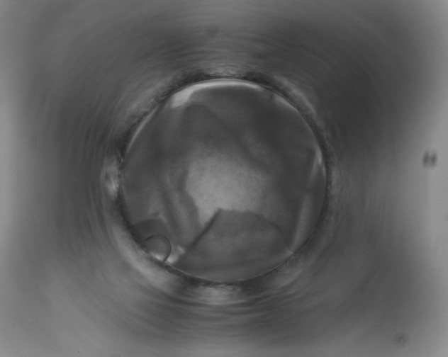 X0000113140069200909251314