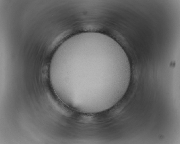 X0000113140071200909251314