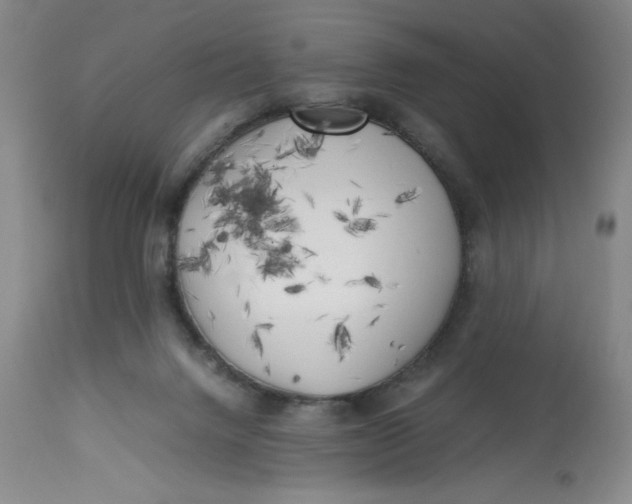 X0000113140072200909251314